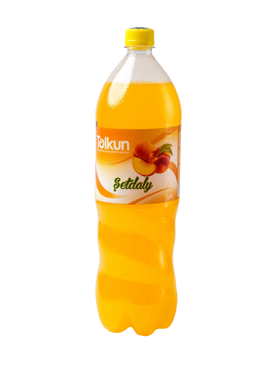 Tolkun Şetdaly